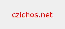czichos.net GmbH