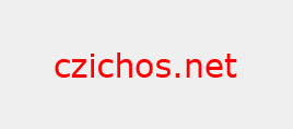 czichos.net GmbH